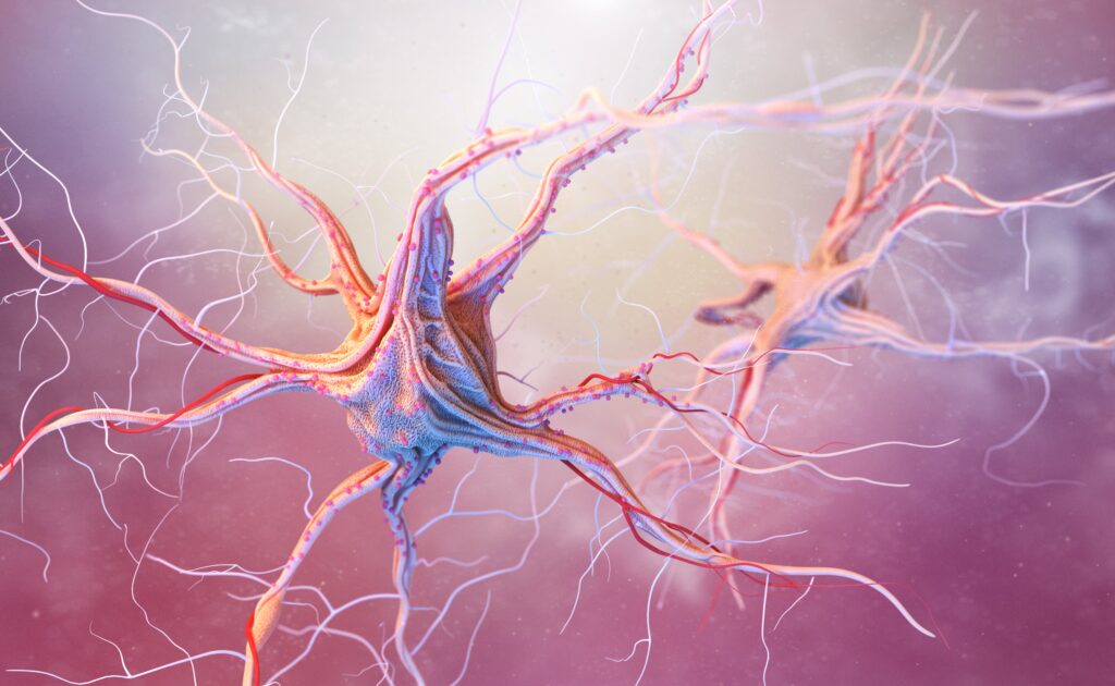 Neuromodulators, muscle tension, pelvic health, sexual function
